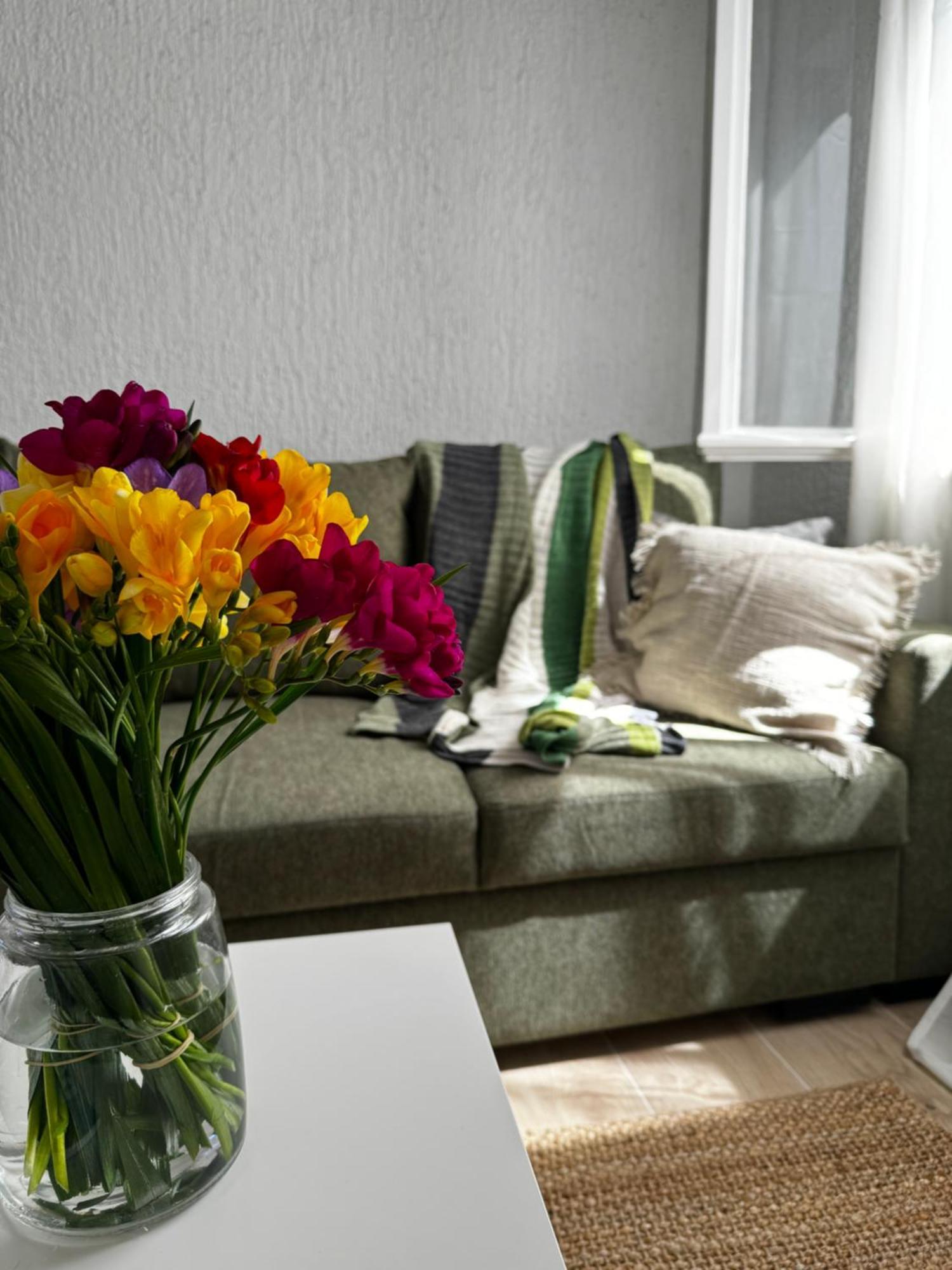 Apartamento Sena *